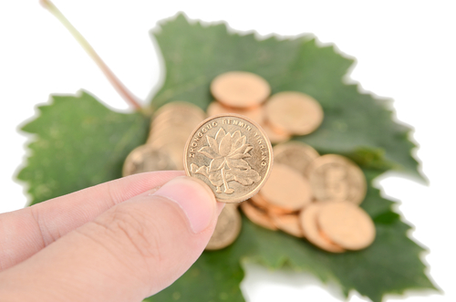 Canadian Maple Gold Coin